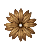 Images Shw5000-0244_3.jpg